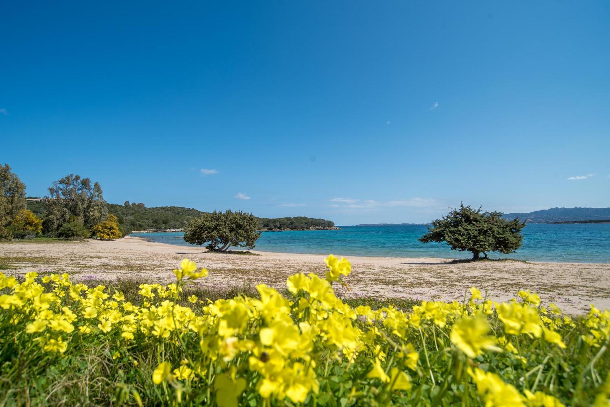 Appartamento Palau Sole Экстерьер фото